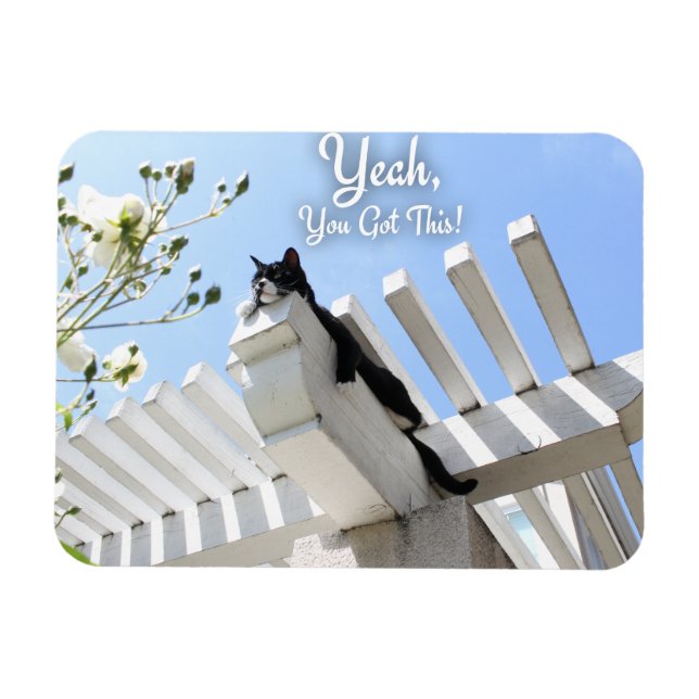Sie Got diesen Cat Motivierend Slogan Magnet (Horizontal)