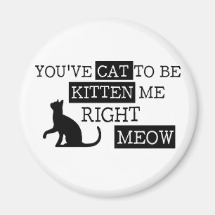 Sie haben die Katze, zum lustiger Kätzchen Meow z Magnet