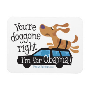 Sie haben verdammt ich sind für Obama Recht! Magnet