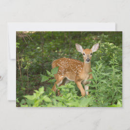 Sie hat noch ihre Spots - Fawn Notecard Dankeskarte