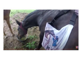 Sie hat so viel Spaß! Zweifarbige Tasse