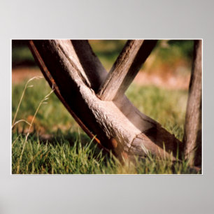 Sie hörten hier auf poster