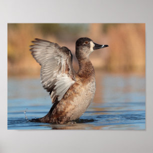 Sie ist Flapper Poster