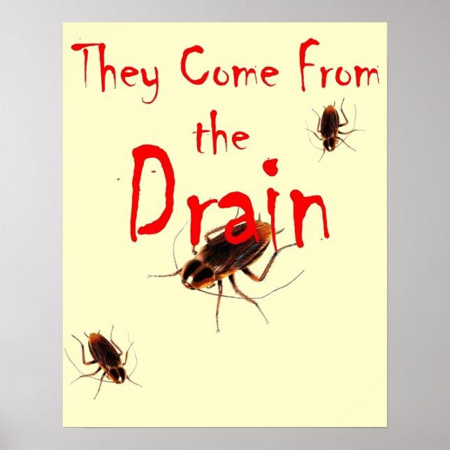 SIE KOMMEN AUS DEM DRAIN - Beängstigendes Kakerlak Poster (Vorne)