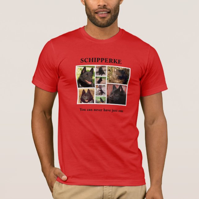 Sie können gerade einen Schipperke nie haben T-Shirt (Vorderseite)