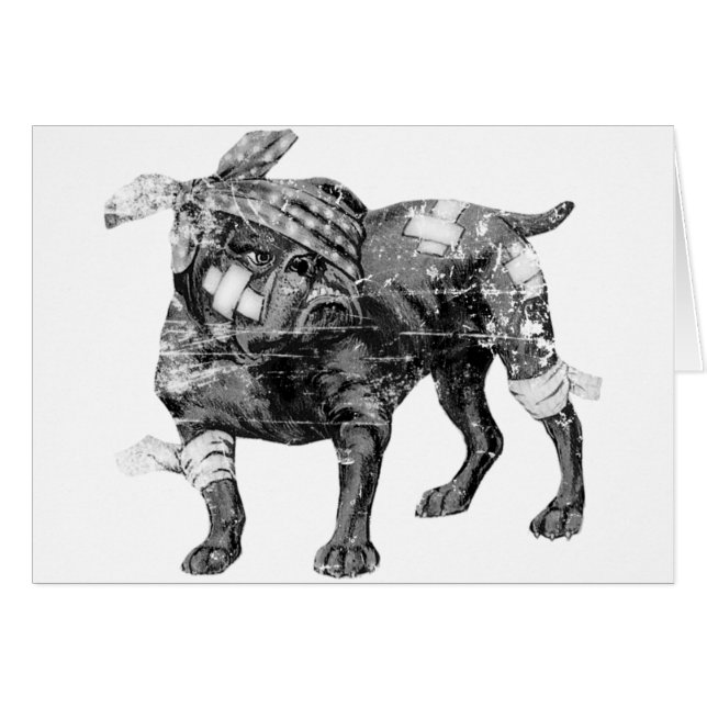 Sie können immer zurück beißen (Vorderseite (Horizontal))