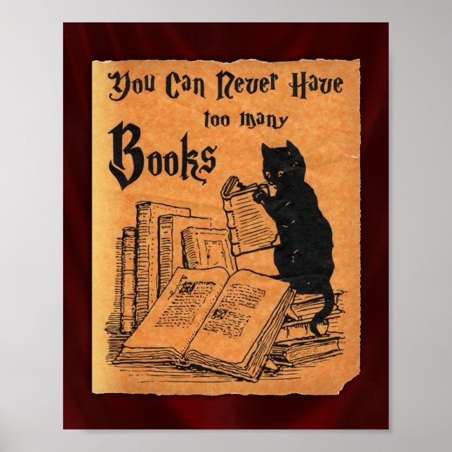 Sie können nie zu viele Bücher Katzenposter haben Poster (Vorne)