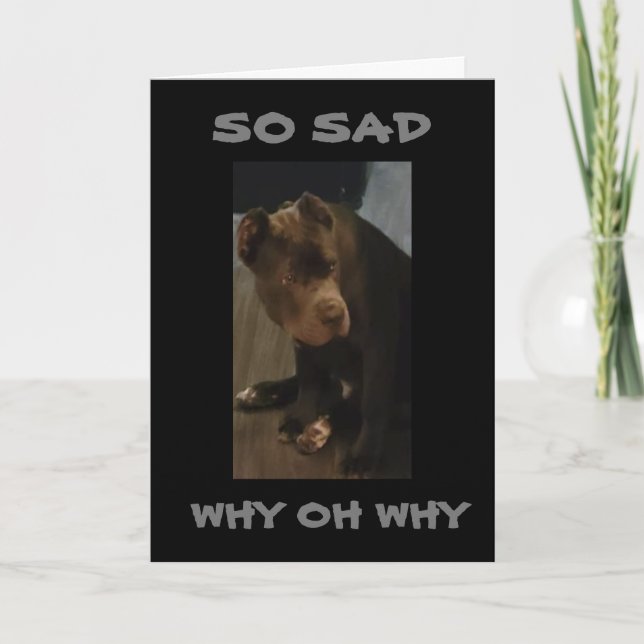 *SIE KÖNNEN SICH NICHT BEWEGEN, ICH WERDE "FEHLEN  KARTE (Vorderseite)