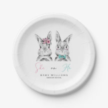 Sie oder He Pink & Blue Bunny Gender Reveal Dusche