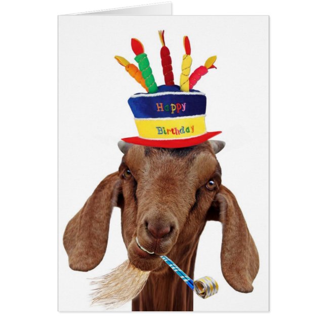 Sie Ol Ziege (Vorne)