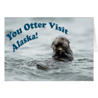 Sie Otter Besuch Alaska