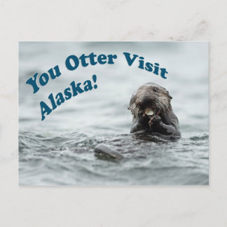 Sie Otter Besuch Alaska Postkarte