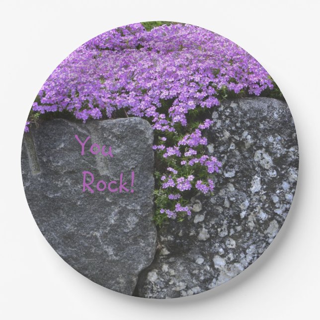Sie Rock Lila Phlox Pappteller (Vorderseite)