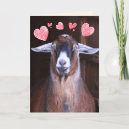 Sie rocken meine Weltziege Valentine Feiertagskarte