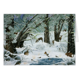 Sie sagten, es würde nicht schnee.