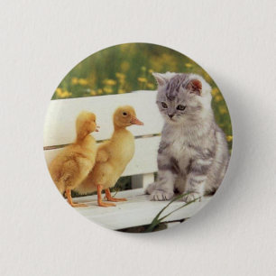 Sie sehen nicht wie eine Miezekatze aus? Was sind Button