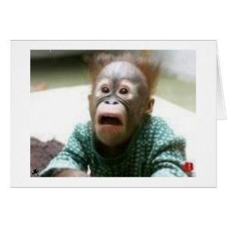 SIE SEHEN WIE EIN AFFE AUCH AUS