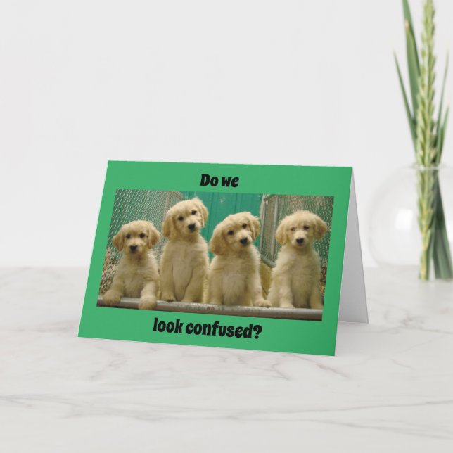 SIE SIND "16" SAGT VERSTÄNDNISSE PUPPIES? Karte (Vorderseite)