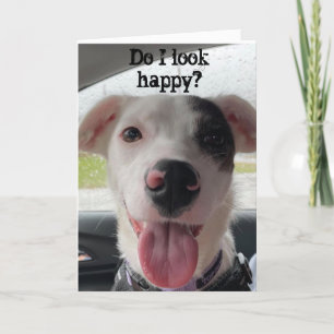 SIE SIND **70*** MACHT MICH SELBSTVERSTÄNDLICH GLÜ KARTE