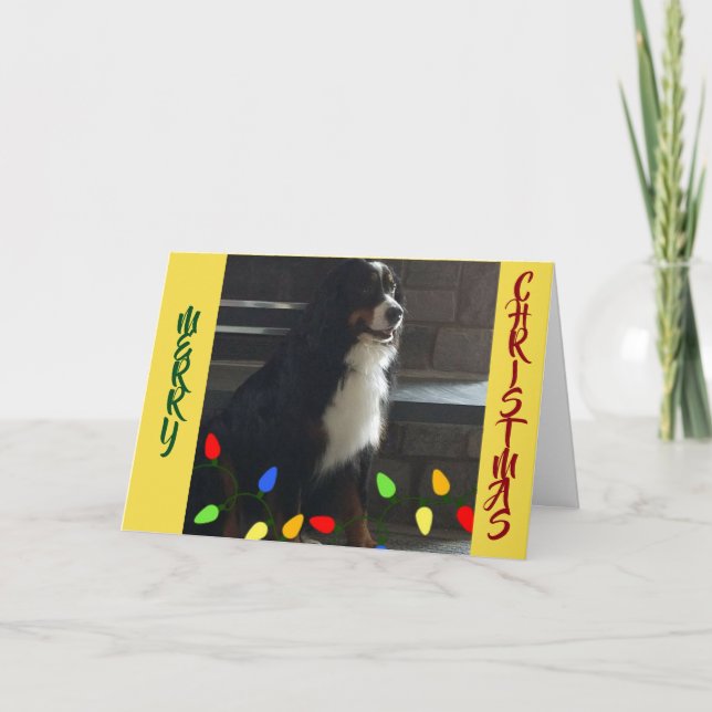 SIE SIND DAS LICHT MEINES LEBENS* CHRISTMAS KARTE (Vorderseite)