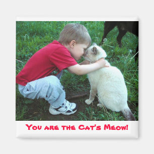 Sie sind der Meow der Katze! Magnet