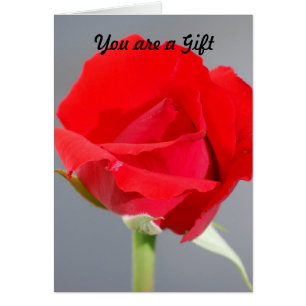 Sie sind ein Geschenk