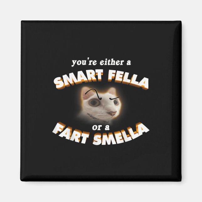 Sie sind eine Smart Fella oder eine Furz Smella Me Magnet (Vorne)