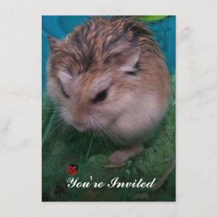 Sie sind eingeladen einladung