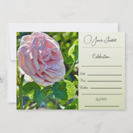 Sie sind eingeladen - Single Rose Einladung