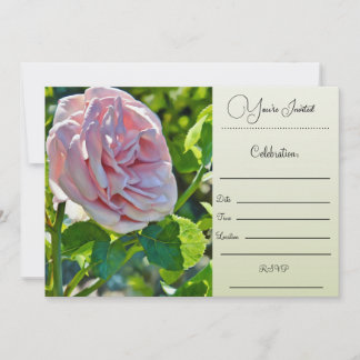 Sie sind eingeladen - Single Rose Einladung
