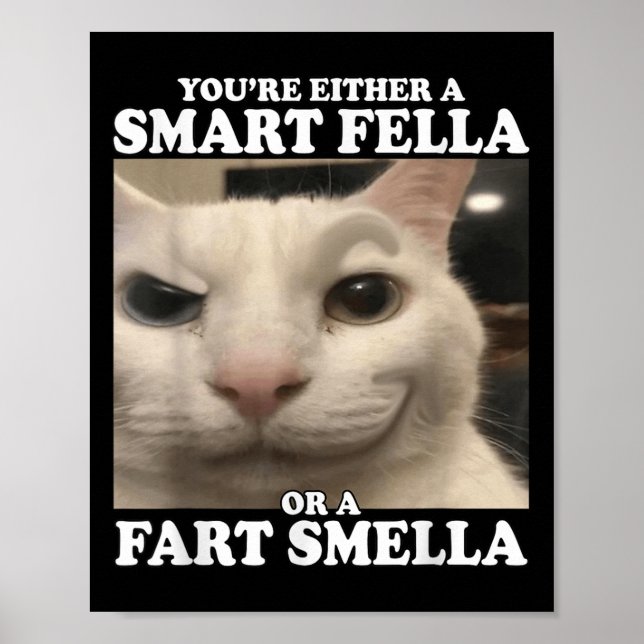 Sie sind entweder eine kluge Fella oder eine Furz  Poster (Vorne)