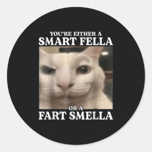 Sie sind entweder eine Smart Fella oder eine Furz  Runder Aufkleber