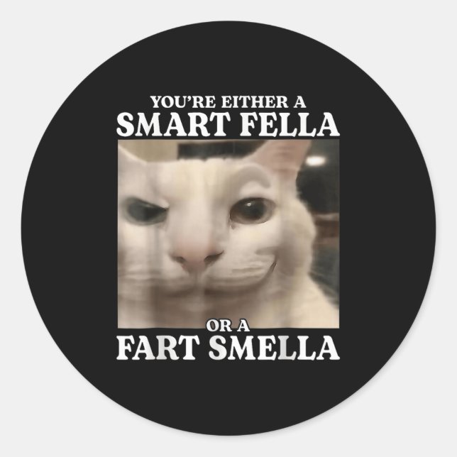 Sie sind entweder eine Smart Fella oder eine Furz  Runder Aufkleber (Vorderseite)