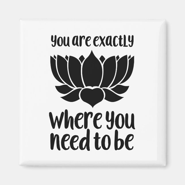 Sie sind genau dort, wo Sie Magnet sein müssen (Vorne)