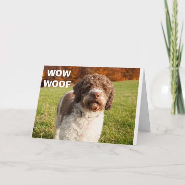 SIE SIND ****HABEN EIN BABY**** WOOF WOW! KARTE (Vorderseite)