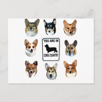 Sie sind im Corgi-Land Postkarte