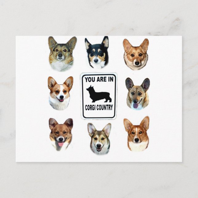 Sie sind im Corgi-Land Postkarte (Vorderseite)