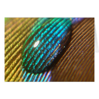 Sie sind mein REGENBOGEN