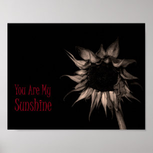 Sie sind meine Sonnenblume Elegant einzigartig Coo Poster