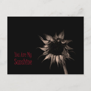 Sie sind meine Sonnenblume Niedlich einzigartig Co Postkarte