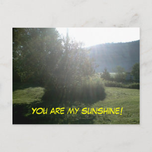 SIE SIND MEINE SUNSHINE-Postkarte Postkarte