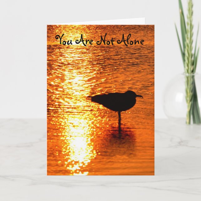 Sie sind nicht allein die Seagull-Sonnenuntergangs Karte (Vorderseite)