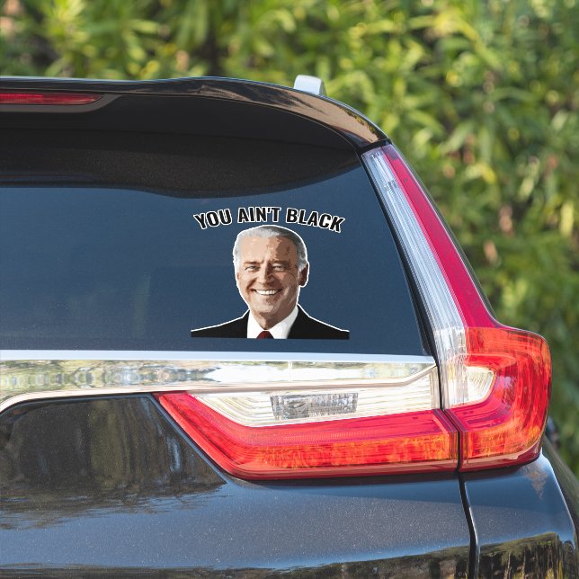 SIE SIND NICHT SCHWARZ JOE BIDEN AUTO DECAL STICKE AUFKLEBER (Auto Seite)