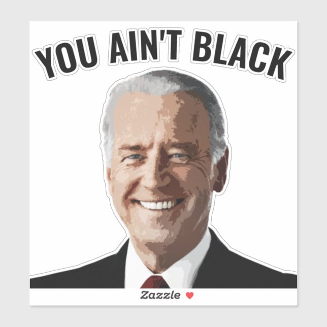 SIE SIND NICHT SCHWARZ JOE BIDEN DIE DECAL STICKER (Blatt)