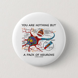 Sie sind nichts aber ein Satz Neuronen (Synapse) Button