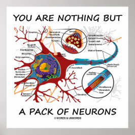 Sie sind nichts anderes als ein Bündel von Neurone Poster