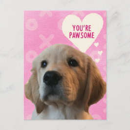 Sie sind PAWSOME Golden Valentine's Day Postcard Postkarte