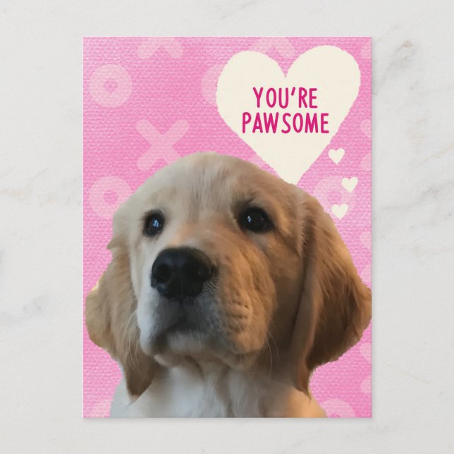 Sie sind PAWSOME Golden Valentine's Day Postcard Postkarte (Vorderseite)