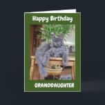 SIE SIND PHANTASTISCH **GRANDDAUGHTER** GEBURTSTAG KARTE<br><div class="desc">VIELEN DANK,  DASS SIE VON EINER MEINER ACHT GESCHICHTEN GESCHAFFEN HABEN!!!</div>