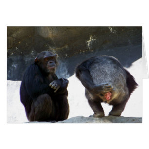 Sie sind so falsch_ Card_by Elenne Boothe